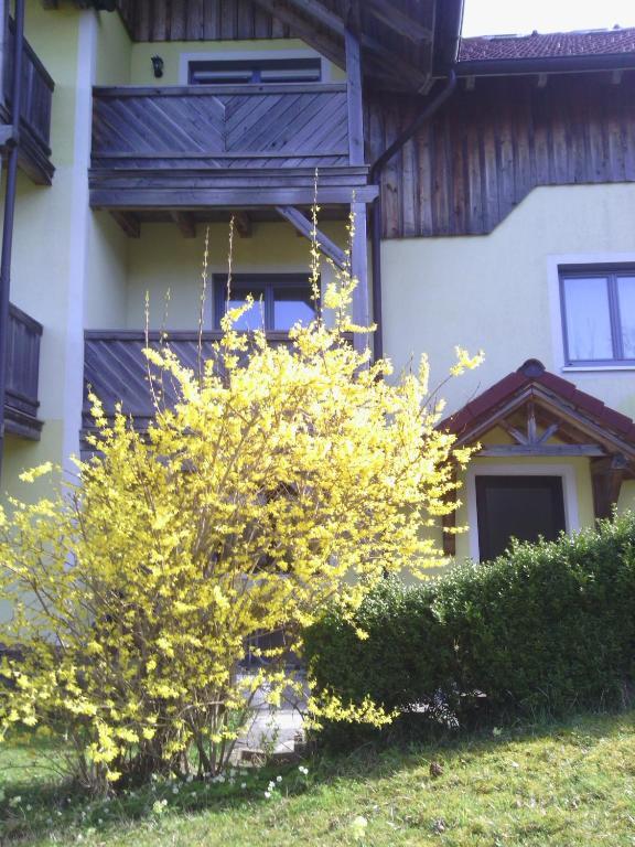 Apartments Grabler Altmünster Exterior foto